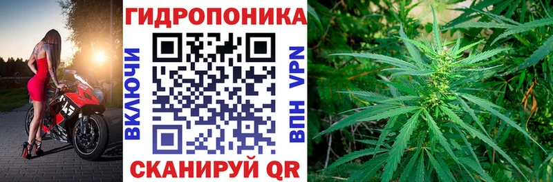 Бошки марихуана индика  мориарти клад  Нязепетровск 
